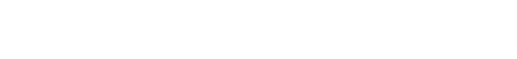 Binghamton Logo